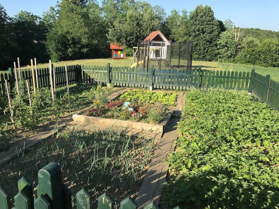 Lovely Cottage With Nice Outdoor Area Benedikt v Slovenskih Goricah Exterior photo